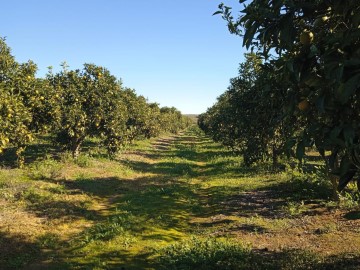 Terrenos en Pilas