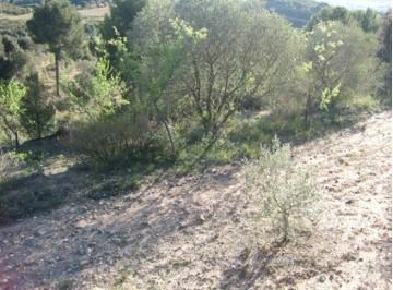 Terrenos en Castellbisbal