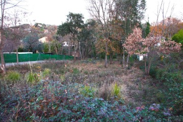 Terrenos en Junior Park