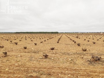 Terrenos en Argamasilla de Alba