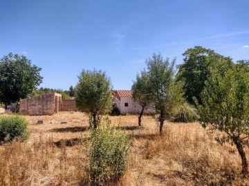 Quintas e casas rústicas em Zarra
