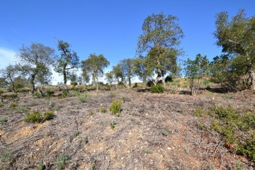 Terreno em Mas Pere-Río de Oro