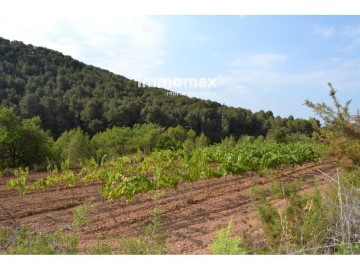 Land in Centro Pueblo