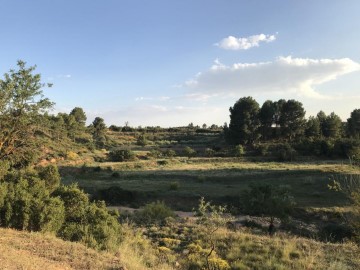 Terrenos en Ayora