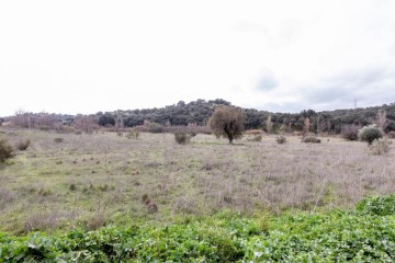 Terrenos en Cerro del Caño