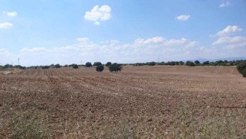 Terrenos en El Valle de los Rosales