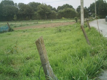 Terrenos en Castillo