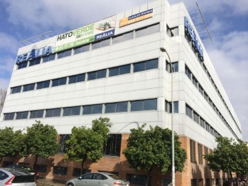 Oficina en San Pablo