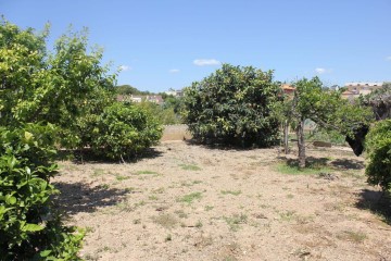 Terrenos en Fondo Somella - Santa Maria