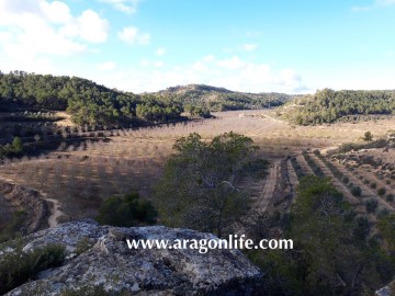 Terrenos en Maella