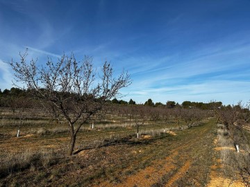 Land in La Pobla de Cérvoles