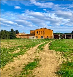 House 5 Bedrooms in Els Masos de Pals