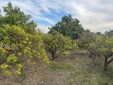 Terrenos en Daimús