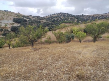 Casas rústicas en Campillo