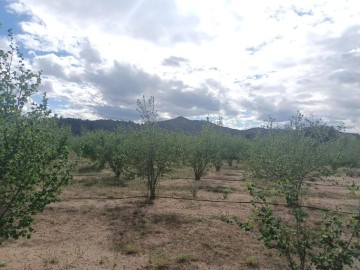 Terrenos en L'Aleixar