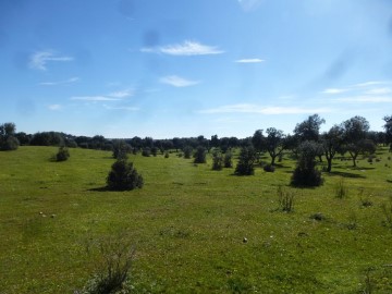 Terrenos en Maqueda