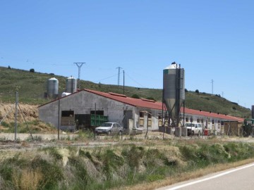 Bâtiment industriel / entrepôt à Cutanda