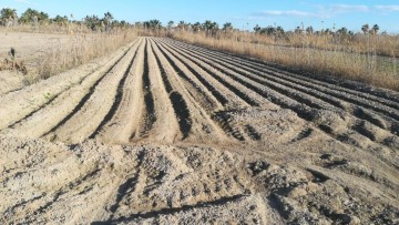 Terrenos en San Fulgencio