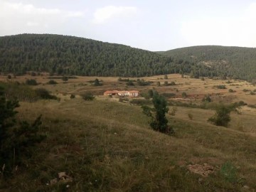 Terrenos en Torrevelilla