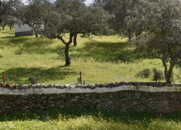 Maisons de campagne 3 Chambres à Hinojales