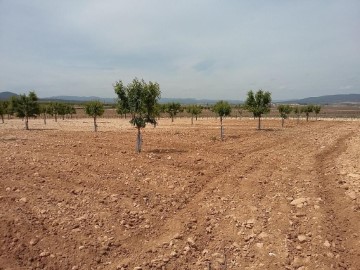 Terrenos en Caudete de las Fuentes