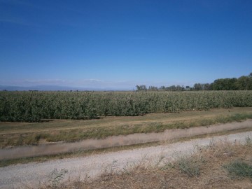 Terrenos en Torregrossa