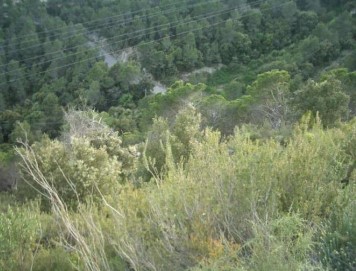 Terrenos en Castell de Cabrera