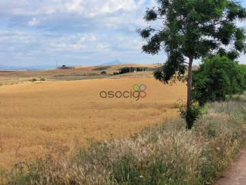 Terrenos en Tórtola de Henares