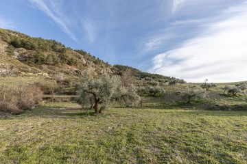 Terre à Barrio de la Vega