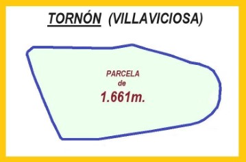 Terreno em Selorio - Tornón