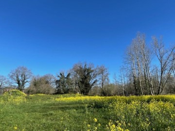 Terre à Ontoria