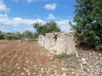 Terre à Cervera del Maestre