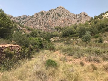 Terreno em Pujolet