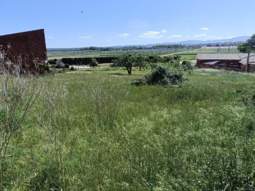 Land in San Román de la Vega