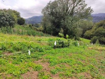 Terrenos en Valle