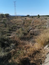 Terrenos en Polígono Industrial Este