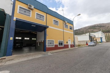 Commercial premises in Loja