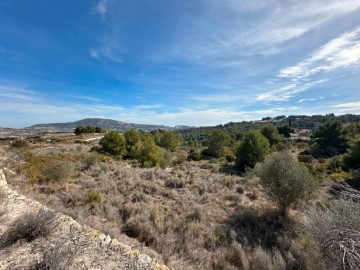 Terre à Benimeit