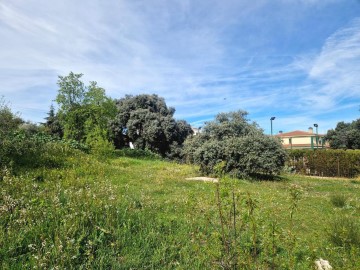 Terre à Carrascosa de Tajo