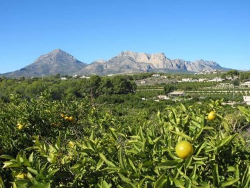 Terrenos en Alfaz del Pi Pueblo-Urbanizaciones