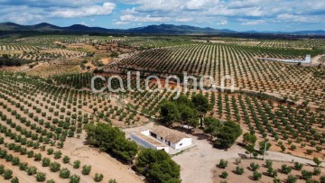 Terrenos en el Remedio