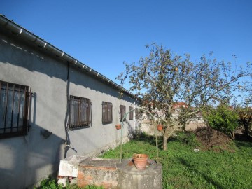 Bâtiment industriel / entrepôt à Coiros (San Julián)