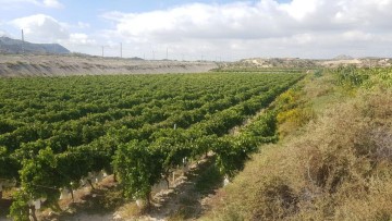 Terrenos en el Ventos