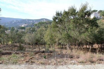 Terrenos en Mas Pere-Río de Oro