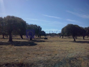 Casas rústicas en Valencia de Alcántara