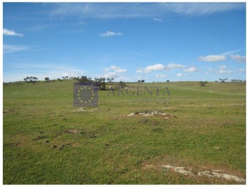 Casas rústicas en Navas del Madroño