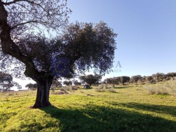 Quintas e casas rústicas em Jaraicejo