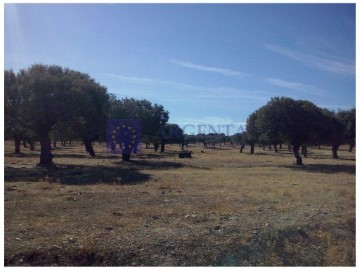 Casas rústicas en Herreruela