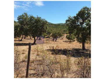 Maisons de campagne à Alcuéscar