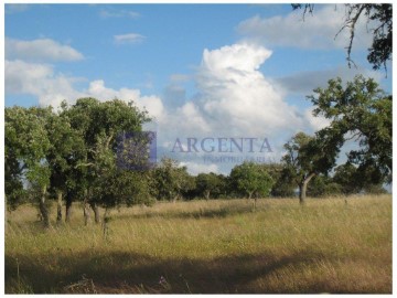 Casas rústicas en Santiago de Alcántara